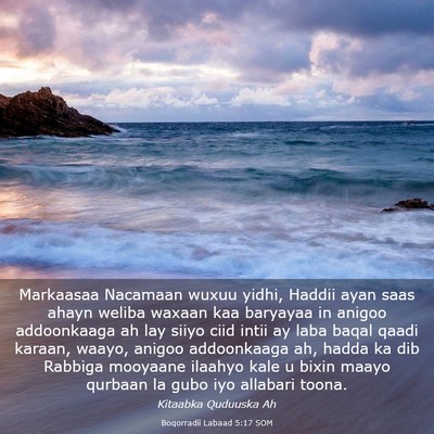 Picture 03 - Boqorradii Labaad 5:17 SOM - Markaasaa Nacamaan wuxuu yidhi, Haddii ayan saas - Bible Verse Picture