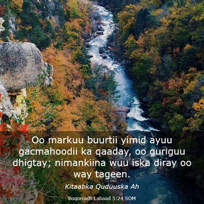 Picture 03 - Boqorradii Labaad 5:24 SOM - Oo markuu buurtii yimid ayuu gacmahoodii ka - Bible Verse Picture