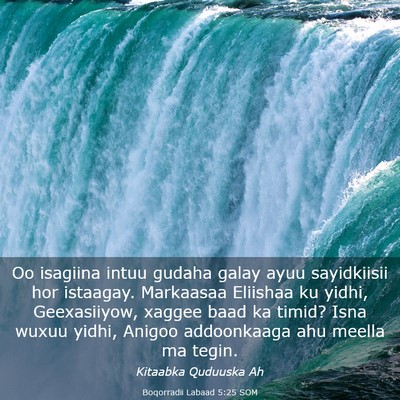 Picture 03 - Boqorradii Labaad 5:25 SOM - Oo isagiina intuu gudaha galay ayuu sayidkiisii - Bible Verse Picture