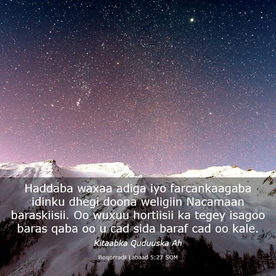 Picture 03 - Boqorradii Labaad 5:27 SOM - Haddaba waxaa adiga iyo farcankaagaba idinku - Bible Verse Picture