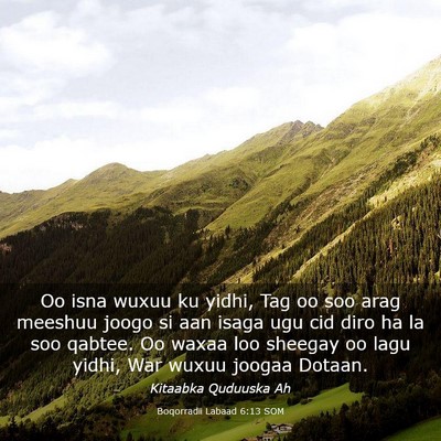 Picture 03 - Boqorradii Labaad 6:13 SOM - Oo isna wuxuu ku yidhi, Tag oo soo arag meeshuu - Bible Verse Picture
