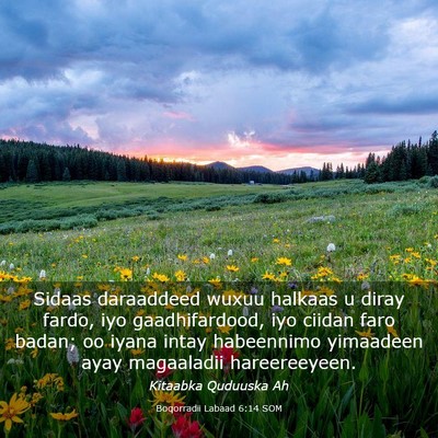 Picture 03 - Boqorradii Labaad 6:14 SOM - Sidaas daraaddeed wuxuu halkaas u diray fardo, - Bible Verse Picture