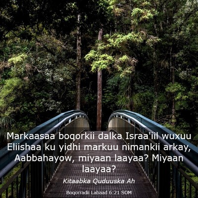 Picture 03 - Boqorradii Labaad 6:21 SOM - Markaasaa boqorkii dalka Israa'iil wuxuu Eliishaa - Bible Verse Picture