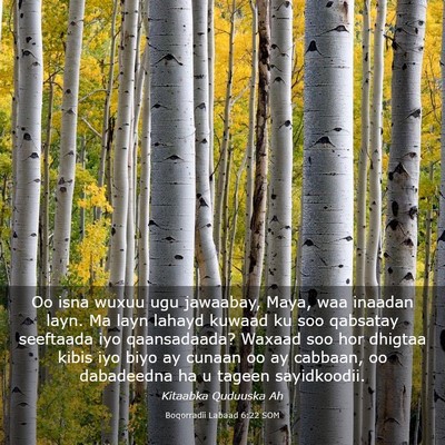 Picture 03 - Boqorradii Labaad 6:22 SOM - Oo isna wuxuu ugu jawaabay, Maya, waa inaadan - Bible Verse Picture