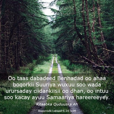 Picture 03 - Boqorradii Labaad 6:24 SOM - Oo taas dabadeed Benhadad oo ahaa boqorkii - Bible Verse Picture