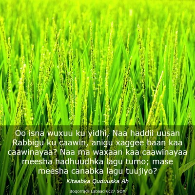 Picture 03 - Boqorradii Labaad 6:27 SOM - Oo isna wuxuu ku yidhi, Naa haddii uusan Rabbigu - Bible Verse Picture