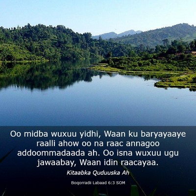Picture 03 - Boqorradii Labaad 6:3 SOM - Oo midba wuxuu yidhi, Waan ku baryayaaye raalli - Bible Verse Picture