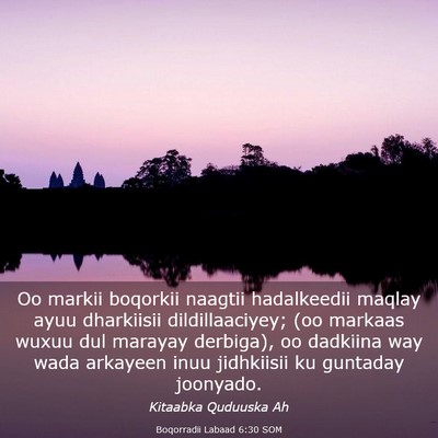 Picture 03 - Boqorradii Labaad 6:30 SOM - Oo markii boqorkii naagtii hadalkeedii maqlay - Bible Verse Picture