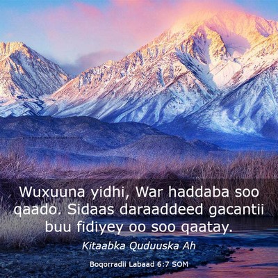 Picture 03 - Boqorradii Labaad 6:7 SOM - Wuxuuna yidhi, War haddaba soo qaado. Sidaas - Bible Verse Picture