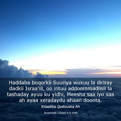 Picture 03 - Boqorradii Labaad 6:8 SOM - Haddaba boqorkii Suuriya wuxuu la diriray dadkii - Bible Verse Picture