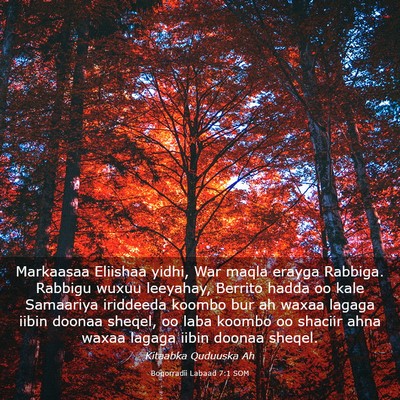 Picture 03 - Boqorradii Labaad 7:1 SOM - Markaasaa Eliishaa yidhi, War maqla erayga - Bible Verse Picture