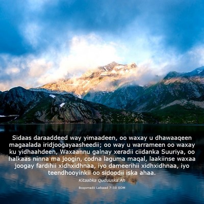 Picture 03 - Boqorradii Labaad 7:10 SOM - Sidaas daraaddeed way yimaadeen, oo waxay u - Bible Verse Picture