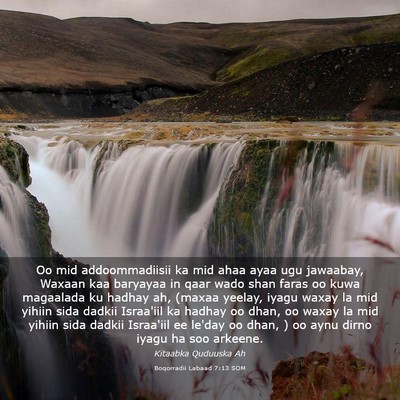 Picture 03 - Boqorradii Labaad 7:13 SOM - Oo mid addoommadiisii ka mid ahaa ayaa ugu - Bible Verse Picture