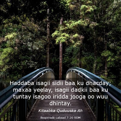 Picture 03 - Boqorradii Labaad 7:20 SOM - Haddaba isagii sidii baa ku dhacday; maxaa - Bible Verse Picture