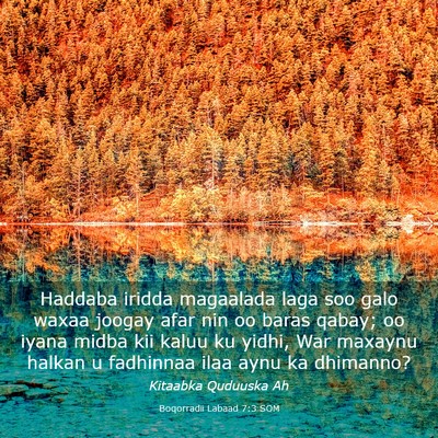 Picture 03 - Boqorradii Labaad 7:3 SOM - Haddaba iridda magaalada laga soo galo waxaa - Bible Verse Picture
