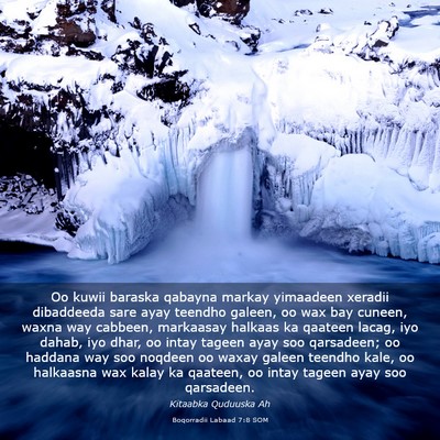 Picture 03 - Boqorradii Labaad 7:8 SOM - Oo kuwii baraska qabayna markay yimaadeen xeradii - Bible Verse Picture