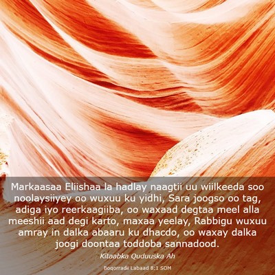 Picture 03 - Boqorradii Labaad 8:1 SOM - Markaasaa Eliishaa la hadlay naagtii uu wiilkeeda - Bible Verse Picture
