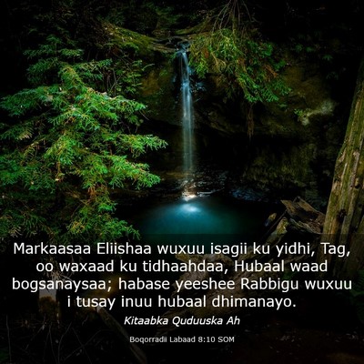 Picture 03 - Boqorradii Labaad 8:10 SOM - Markaasaa Eliishaa wuxuu isagii ku yidhi, Tag, oo - Bible Verse Picture
