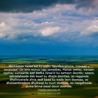 Picture 03 - Boqorradii Labaad 8:12 SOM - Markaasaa Xasaa'eel ku yidhi, Sayidkaygiiyow, - Bible Verse Picture