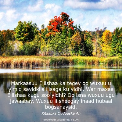Picture 03 - Boqorradii Labaad 8:14 SOM - Markaasuu Eliishaa ka tegey oo wuxuu u yimid - Bible Verse Picture