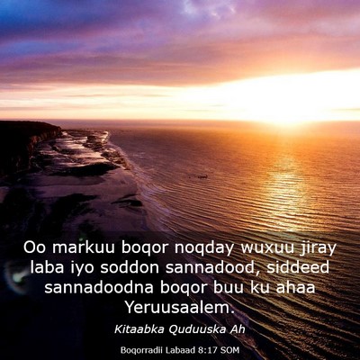 Picture 03 - Boqorradii Labaad 8:17 SOM - Oo markuu boqor noqday wuxuu jiray laba iyo - Bible Verse Picture