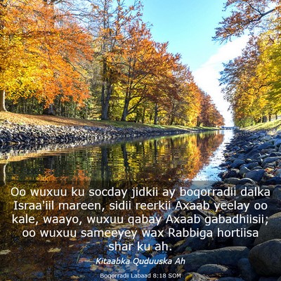 Picture 03 - Boqorradii Labaad 8:18 SOM - Oo wuxuu ku socday jidkii ay boqorradii dalka - Bible Verse Picture