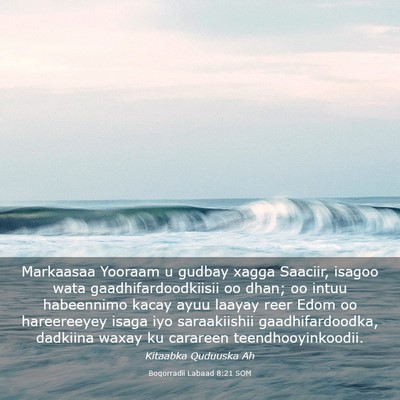 Picture 03 - Boqorradii Labaad 8:21 SOM - Markaasaa Yooraam u gudbay xagga Saaciir, isagoo - Bible Verse Picture