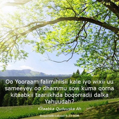 Picture 03 - Boqorradii Labaad 8:23 SOM - Oo Yooraam falimihiisii kale iyo wixii uu - Bible Verse Picture