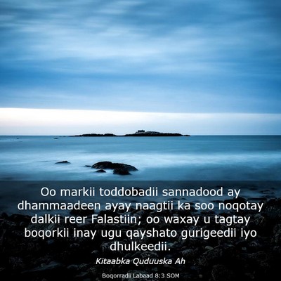 Picture 03 - Boqorradii Labaad 8:3 SOM - Oo markii toddobadii sannadood ay dhammaadeen - Bible Verse Picture