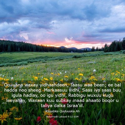 Picture 03 - Boqorradii Labaad 9:12 SOM - Oo iyana waxay yidhaahdeen, Taasu waa been; ee - Bible Verse Picture