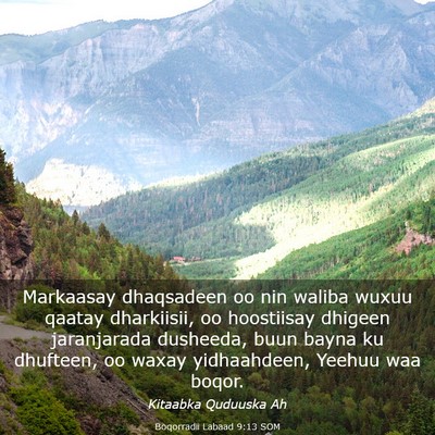 Picture 03 - Boqorradii Labaad 9:13 SOM - Markaasay dhaqsadeen oo nin waliba wuxuu qaatay - Bible Verse Picture