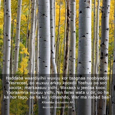 Picture 03 - Boqorradii Labaad 9:17 SOM - Haddaba waardiyihii wuxuu kor taagnaa noobiyaddii - Bible Verse Picture