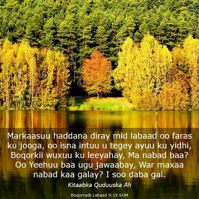 Picture 03 - Boqorradii Labaad 9:19 SOM - Markaasuu haddana diray mid labaad oo faras ku - Bible Verse Picture