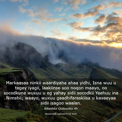 Picture 03 - Boqorradii Labaad 9:20 SOM - Markaasaa ninkii waardiyaha ahaa yidhi, Isna wuu - Bible Verse Picture