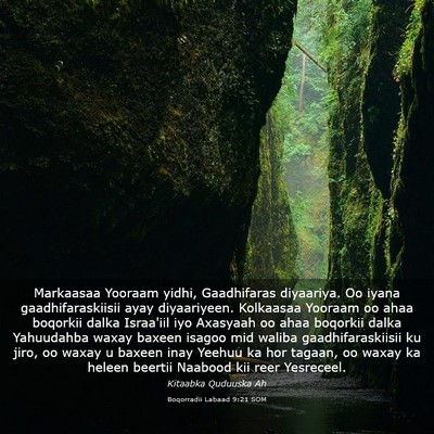 Picture 03 - Boqorradii Labaad 9:21 SOM - Markaasaa Yooraam yidhi, Gaadhifaras diyaariya. - Bible Verse Picture