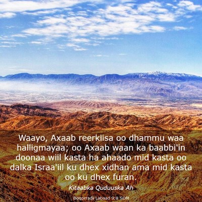 Picture 03 - Boqorradii Labaad 9:8 SOM - Waayo, Axaab reerkiisa oo dhammu waa halligmayaa; - Bible Verse Picture