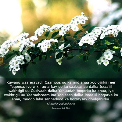 Picture 03 - Caamoos 1:1 SOM - Kuwanu waa erayadii Caamoos oo ka mid ahaa - Bible Verse Picture
