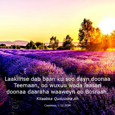 Picture 03 - Caamoos 1:12 SOM - Laakiinse dab baan ku soo dayn doonaa Teemaan, oo - Bible Verse Picture