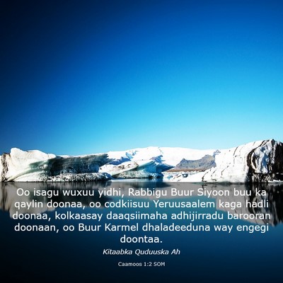 Picture 03 - Caamoos 1:2 SOM - Oo isagu wuxuu yidhi, Rabbigu Buur Siyoon buu ka - Bible Verse Picture