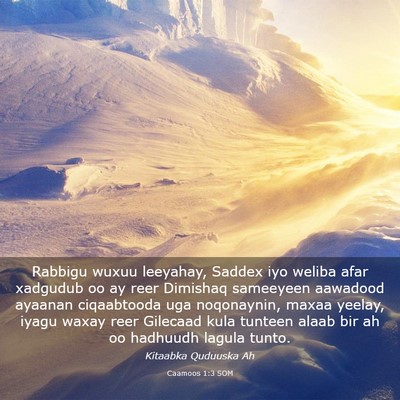 Picture 03 - Caamoos 1:3 SOM - Rabbigu wuxuu leeyahay, Saddex iyo weliba afar - Bible Verse Picture