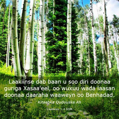 Picture 03 - Caamoos 1:4 SOM - Laakiinse dab baan u soo diri doonaa guriga - Bible Verse Picture