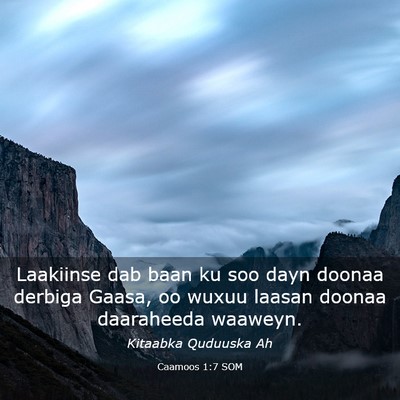 Picture 03 - Caamoos 1:7 SOM - Laakiinse dab baan ku soo dayn doonaa derbiga - Bible Verse Picture