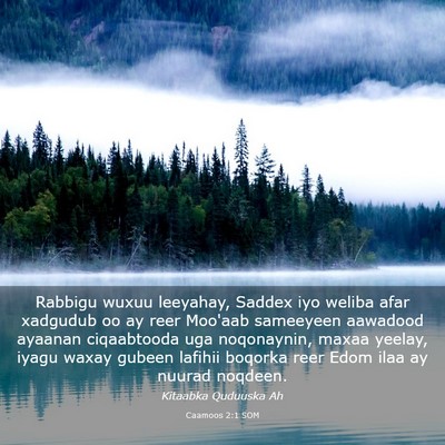 Picture 03 - Caamoos 2:1 SOM - Rabbigu wuxuu leeyahay, Saddex iyo weliba afar - Bible Verse Picture