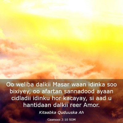 Picture 03 - Caamoos 2:10 SOM - Oo weliba dalkii Masar waan idinka soo bixiyey, - Bible Verse Picture