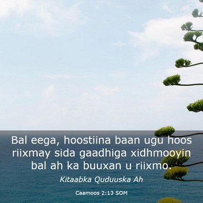 Picture 03 - Caamoos 2:13 SOM - Bal eega, hoostiina baan ugu hoos riixmay sida - Bible Verse Picture