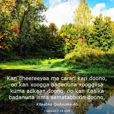 Picture 03 - Caamoos 2:14 SOM - Kan dheereeyaa ma carari kari doono, oo kan - Bible Verse Picture