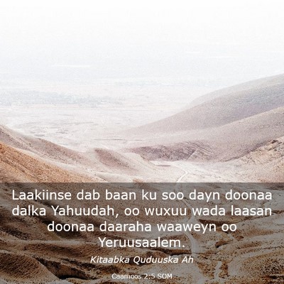 Picture 03 - Caamoos 2:5 SOM - Laakiinse dab baan ku soo dayn doonaa dalka - Bible Verse Picture