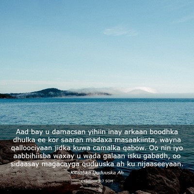 Picture 03 - Caamoos 2:7 SOM - Aad bay u damacsan yihiin inay arkaan boodhka - Bible Verse Picture