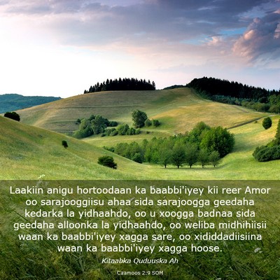 Picture 03 - Caamoos 2:9 SOM - Laakiin anigu hortoodaan ka baabbi'iyey kii reer - Bible Verse Picture