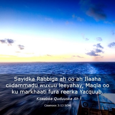 Picture 03 - Caamoos 3:13 SOM - Sayidka Rabbiga ah oo ah Ilaaha ciidammadu wuxuu - Bible Verse Picture